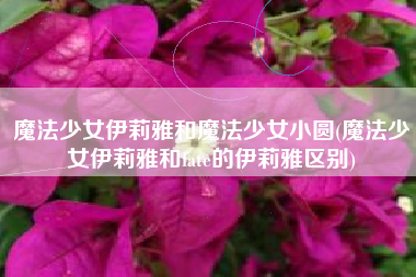 魔法少女伊莉雅和魔法少女小圆(魔法少女伊莉雅和fate的伊莉雅区别)