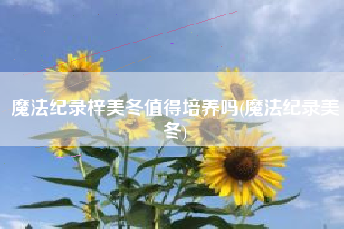魔法纪录梓美冬值得培养吗(魔法纪录美冬)