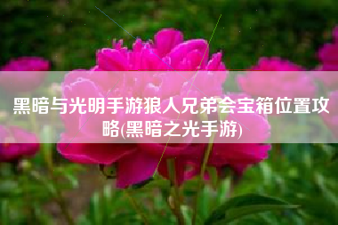 黑暗与光明手游狼人兄弟会宝箱位置攻略(黑暗之光手游)