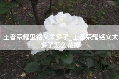 王者荣耀里铭文太多了_王者荣耀铭文太多了怎么花掉