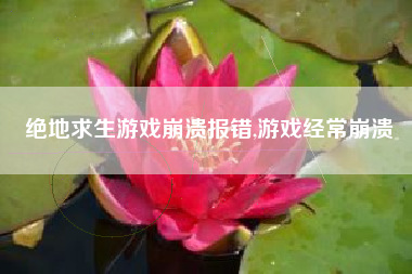 绝地求生游戏崩溃报错,游戏经常崩溃