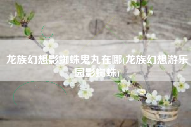 龙族幻想影蜘蛛鬼丸在哪(龙族幻想游乐园影蜘蛛)