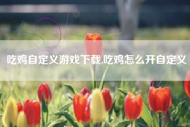 吃鸡自定义游戏下载,吃鸡怎么开自定义