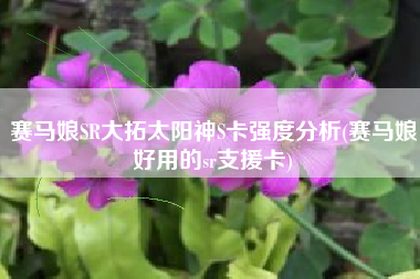 赛马娘SR大拓太阳神S卡强度分析(赛马娘好用的sr支援卡)