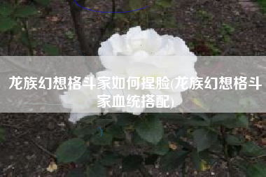 龙族幻想格斗家如何捏脸(龙族幻想格斗家血统搭配)