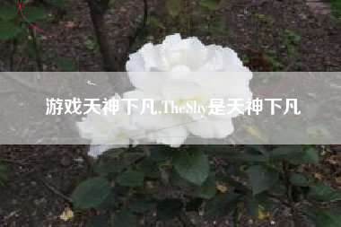 游戏天神下凡,TheShy是天神下凡