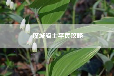 魔城骑士平民攻略