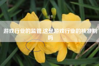 游戏行业的监管,这是游戏行业的核准制吗