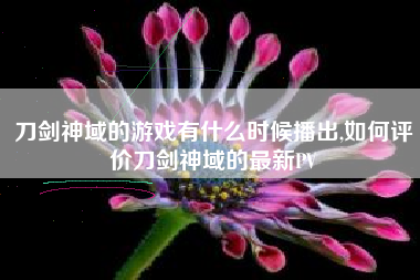 刀剑神域的游戏有什么时候播出,如何评价刀剑神域的最新PV