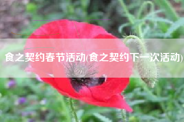 食之契约春节活动(食之契约下一次活动)