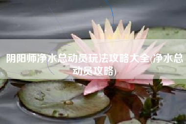 阴阳师净水总动员玩法攻略大全(净水总动员攻略)