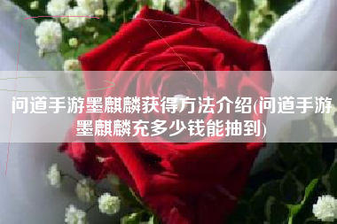 问道手游墨麒麟获得方法介绍(问道手游墨麒麟充多少钱能抽到)
