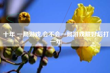 十年 一局游戏,会不会一局游戏藏好后打一年