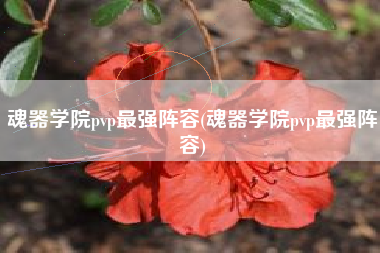 魂器学院pvp最强阵容(魂器学院pvp最强阵容)