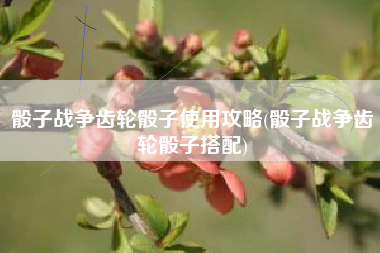 骰子战争齿轮骰子使用攻略(骰子战争齿轮骰子搭配)