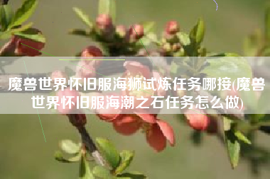 魔兽世界怀旧服海狮试炼任务哪接(魔兽世界怀旧服海潮之石任务怎么做)