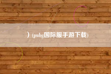）(pubg国际服手游下载)