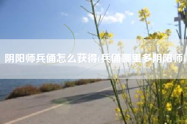 阴阳师兵俑怎么获得(兵俑哪里多阴阳师)
