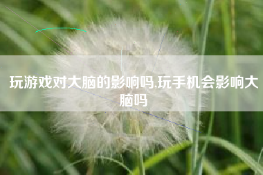 玩游戏对大脑的影响吗,玩手机会影响大脑吗