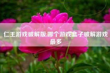仁王游戏破解版,哪个游戏盒子破解游戏最多