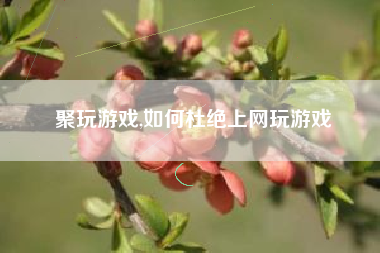 聚玩游戏,如何杜绝上网玩游戏