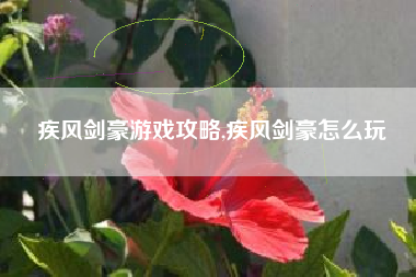 疾风剑豪游戏攻略,疾风剑豪怎么玩