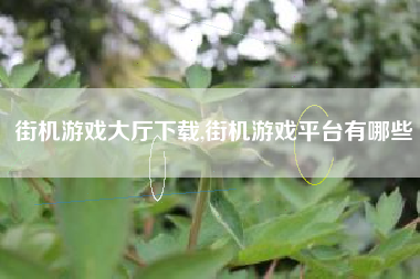 街机游戏大厅下载,街机游戏平台有哪些