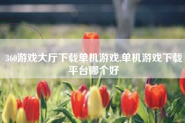 360游戏大厅下载单机游戏,单机游戏下载平台哪个好