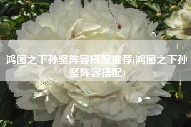 鸿图之下孙坚阵容搭配推荐(鸿图之下孙坚阵容搭配)