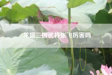 龙狼三国武将张飞厉害吗