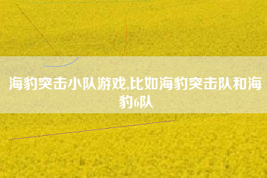 海豹突击小队游戏,比如海豹突击队和海豹6队