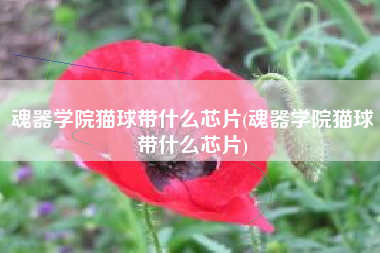 魂器学院猫球带什么芯片(魂器学院猫球带什么芯片)