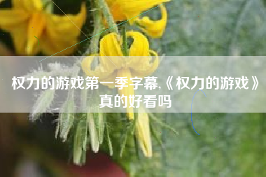 权力的游戏第一季字幕,《权力的游戏》真的好看吗