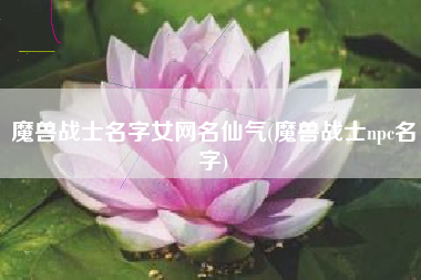 魔兽战士名字女网名仙气(魔兽战士npc名字)