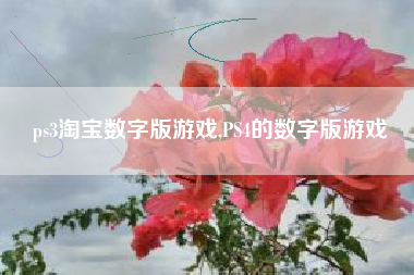 ps3淘宝数字版游戏,PS4的数字版游戏