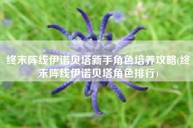 终末阵线伊诺贝塔新手角色培养攻略(终末阵线伊诺贝塔角色排行)