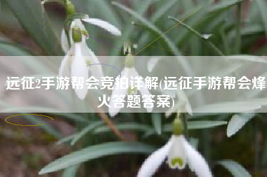 远征2手游帮会竞拍详解(远征手游帮会烽火答题答案)