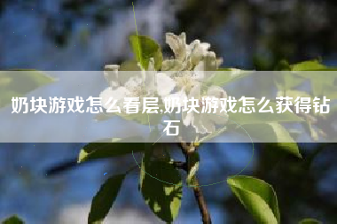 奶块游戏怎么看层,奶块游戏怎么获得钻石