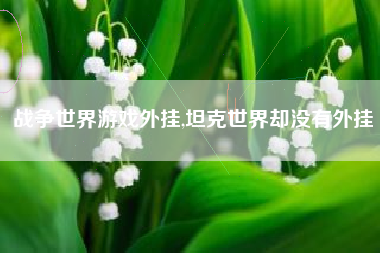 战争世界游戏外挂,坦克世界却没有外挂