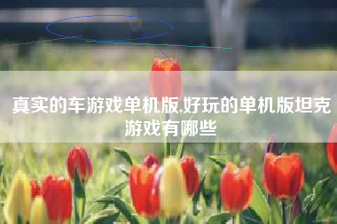 真实的车游戏单机版,好玩的单机版坦克游戏有哪些