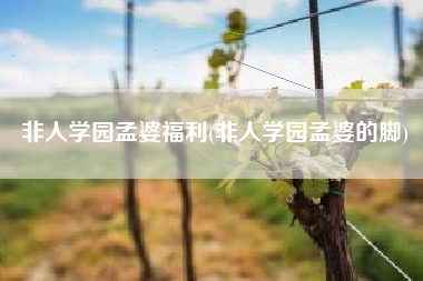 非人学园孟婆福利(非人学园孟婆的脚)