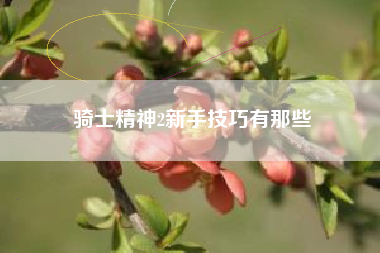 骑士精神2新手技巧有那些