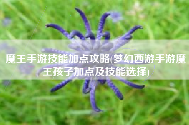 魔王手游技能加点攻略(梦幻西游手游魔王孩子加点及技能选择)