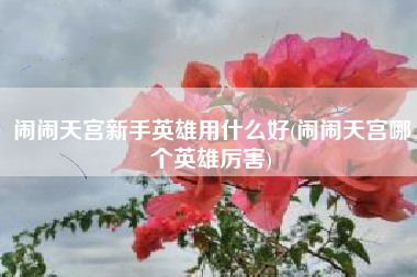 闹闹天宫新手英雄用什么好(闹闹天宫哪个英雄厉害)