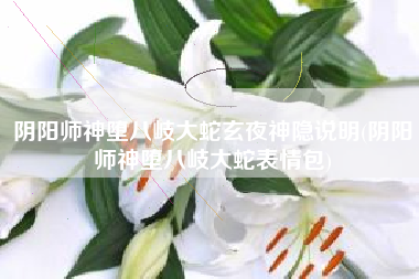 阴阳师神堕八岐大蛇玄夜神隐说明(阴阳师神堕八岐大蛇表情包)