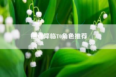 锚点降临T0角色推荐