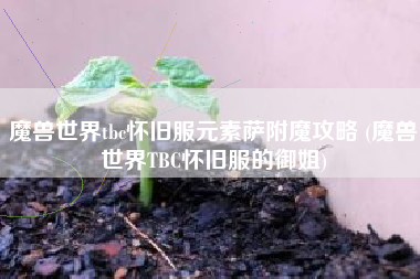 魔兽世界tbc怀旧服元素萨附魔攻略 (魔兽世界TBC怀旧服的御姐)