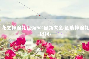 龙之神途礼包码2022最新大全(逐鹿神途礼包码)