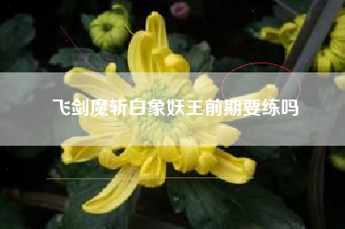 飞剑魔斩白象妖王前期要练吗