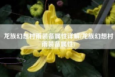 龙族幻想村雨装备属性详解(龙族幻想村雨装备属性)